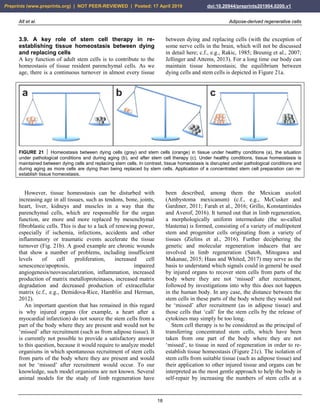 Alt et al. Adipose-derived regenerative cells
18
3.9. A key role of stem cell therapy in re-
establishing tissue homeostasis between dying
and replacing cells
A key function of adult stem cells is to contribute to the
homeostasis of tissue resident parenchymal cells. As we
age, there is a continuous turnover in almost every tissue
between dying and replacing cells (with the exception of
some nerve cells in the brain, which will not be discussed
in detail here; c.f., e.g., Rakic, 1985; Breunig et al., 2007;
Jellinger and Attems, 2013). For a long time our body can
maintain tissue homeostasis; the equilibrium between
dying cells and stem cells is depicted in Figure 21a.
FIGURE 21  Homeostasis between dying cells (gray) and stem cells (orange) in tissue under healthy conditions (a), the situation
under pathological conditions and during aging (b), and after stem cell therapy (c). Under healthy conditions, tissue homeostasis is
maintained between dying cells and replacing stem cells. In contrast, tissue homeostasis is disrupted under pathological conditions and
during aging as more cells are dying than being replaced by stem cells. Application of a concentrated stem cell preparation can re-
establish tissue homeostasis.
However, tissue homeostasis can be disturbed with
increasing age in all tissues, such as tendons, bone, joints,
heart, liver, kidneys and muscles in a way that the
parenchymal cells, which are responsible for the organ
function, are more and more replaced by mesenchymal
fibroblastic cells. This is due to a lack of renewing power,
especially if ischemia, infections, accidents and other
inflammatory or traumatic events accelerate the tissue
turnover (Fig. 21b). A good example are chronic wounds
that show a number of problems, including insufficient
levels of cell proliferation, increased cell
senescence/apoptosis, impaired
angiogenesis/neovascularization, inflammation, increased
production of matrix metalloproteinases, increased matrix
degradation and decreased production of extracellular
matrix (c.f., e.g., Demidova-Rice, Hamblin and Herman,
2012).
An important question that has remained in this regard
is why injured organs (for example, a heart after a
myocardial infarction) do not source the stem cells from a
part of the body where they are present and would not be
‘missed’ after recruitment (such as from adipose tissue). It
is currently not possible to provide a satisfactory answer
to this question, because it would require to analyze model
organisms in which spontaneous recruitment of stem cells
from parts of the body where they are present and would
not be ‘missed’ after recruitment would occur. To our
knowledge, such model organisms are not known. Several
animal models for the study of limb regeneration have
been described, among them the Mexican axolotl
(Ambystoma mexicanum) (c.f., e.g., McCusker and
Gardiner, 2011; Farah et al., 2016; Grillo, Konstantinides
and Averof, 2016). It turned out that in limb regeneration,
a morphologically uniform intermediate (the so-called
blastema) is formed, consisting of a variety of multipotent
stem and progenitor cells originating from a variety of
tissues (Zielins et al., 2016). Further deciphering the
genetic and molecular regeneration inducers that are
involved in limb regeneration (Satoh, Mitogawa and
Makanae, 2015; Haas and Whited, 2017) may serve as the
basis to understand which signals could in general be used
by injured organs to recover stem cells from parts of the
body where they are not ‘missed’ after recruitment,
followed by investigations into why this does not happen
in the human body. In any case, the distance between the
stem cells in these parts of the body where they would not
be ‘missed’ after recruitment (as in adipose tissue) and
those cells that ‘call’ for the stem cells by the release of
cytokines may simply be too long.
Stem cell therapy is to be considered as the principal of
transferring concentrated stem cells, which have been
taken from one part of the body where they are not
‘missed’, to tissue in need of regeneration in order to re-
establish tissue homeostasis (Figure 21c). The isolation of
stem cells from suitable tissue (such as adipose tissue) and
their application to other injured tissue and organs can be
interpreted as the most gentle approach to help the body in
self-repair by increasing the numbers of stem cells at a
Preprints (www.preprints.org) | NOT PEER-REVIEWED | Posted: 17 April 2019 doi:10.20944/preprints201904.0200.v1
 