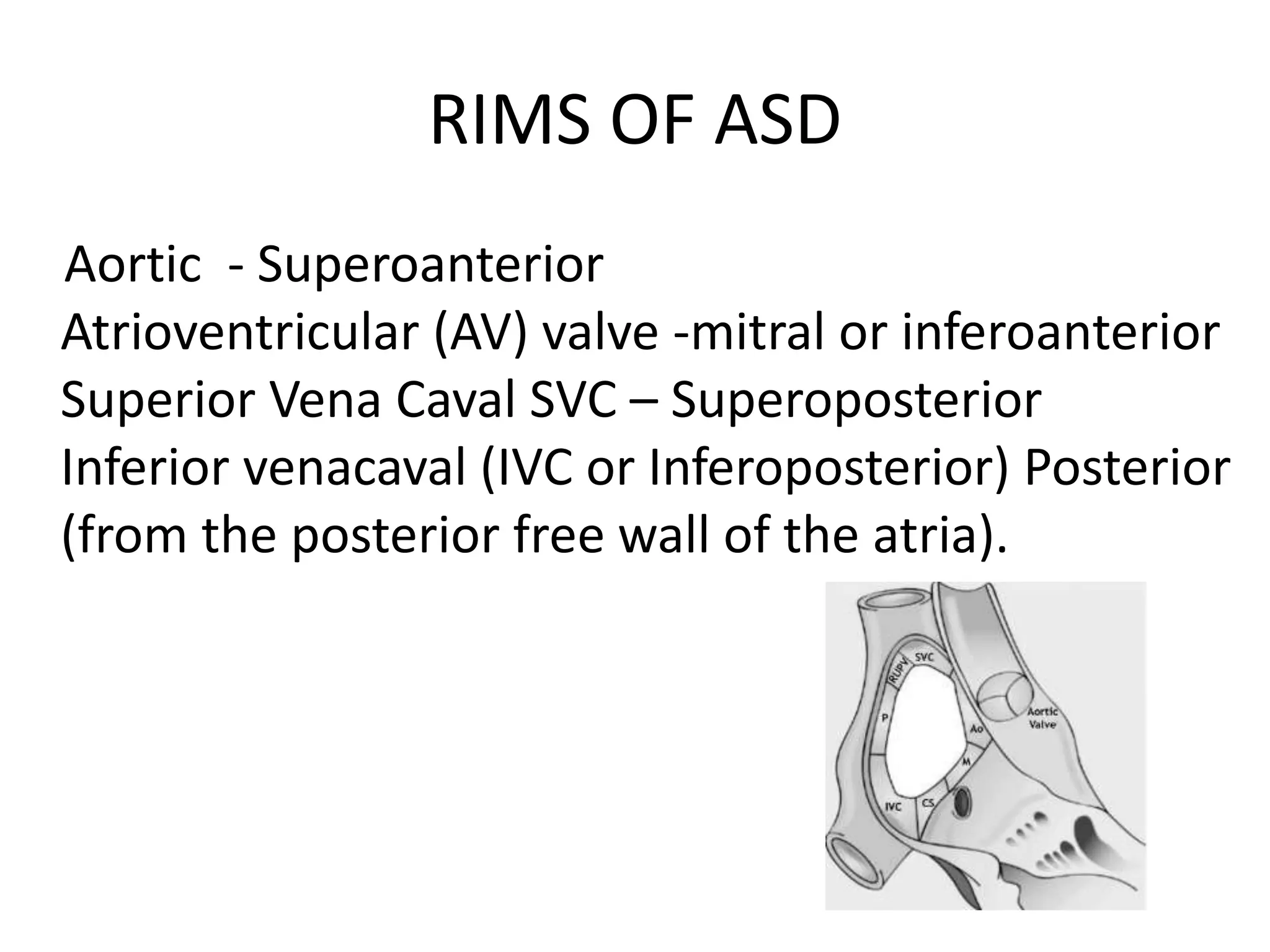 RIMS OF ASD
Aortic - Superoanterior
Atrioventricular (AV) valve -mitral or inferoanterior
Superior Vena Caval SVC – Superoposterior
Inferior venacaval (IVC or Inferoposterior) Posterior
(from the posterior free wall of the atria).
 