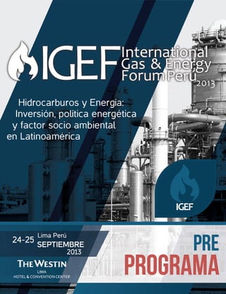 Programa IGEF Perú 2013