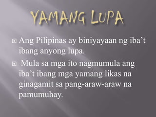  Ang Pilipinas ay biniyayaan ng iba’t
ibang anyong lupa.
 Mula sa mga ito nagmumula ang
iba’t ibang mga yamang likas na
ginagamit sa pang-araw-araw na
pamumuhay.
 