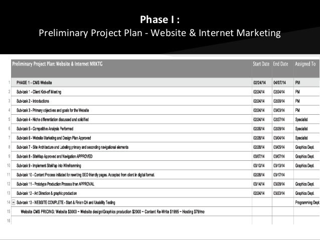pre project plan website amp internet marketing strategy marketing project plan