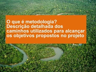 O que é metodologia?
Descrição detalhada dos
caminhos utilizados para alcançar
os objetivos propostos no projeto
 