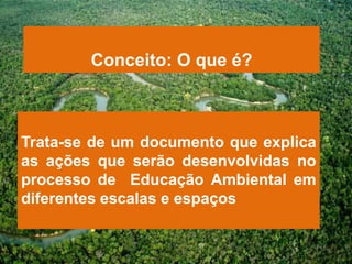 Conceito: O que é?



Trata-se de um documento que explica
as ações que serão desenvolvidas no
processo de Educação Ambiental em
diferentes escalas e espaços
 