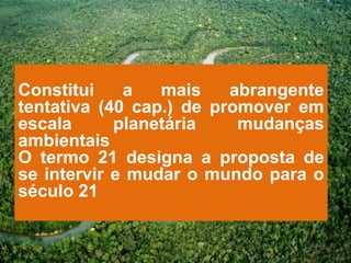 Constitui    a   mais    abrangente
tentativa (40 cap.) de promover em
escala      planetária    mudanças
ambientais
O termo 21 designa a proposta de
se intervir e mudar o mundo para o
século 21
 