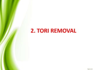 2. TORI REMOVAL
 
