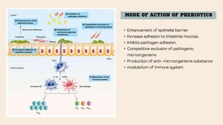 MODE OF ACTION OF PREBIOTICS
•
•
•
•
•
•
 