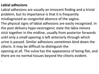 Gynecology 5th year, 4th & 5th lectures (Dr. Hanaa) | PPTX
