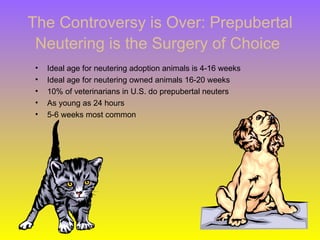 The Controversy is Over: Prepubertal
 Neutering is the Surgery of Choice
 •   Ideal age for neutering adoption animals is 4-16 weeks
 •   Ideal age for neutering owned animals 16-20 weeks
 •   10% of veterinarians in U.S. do prepubertal neuters
 •   As young as 24 hours
 •   5-6 weeks most common
 