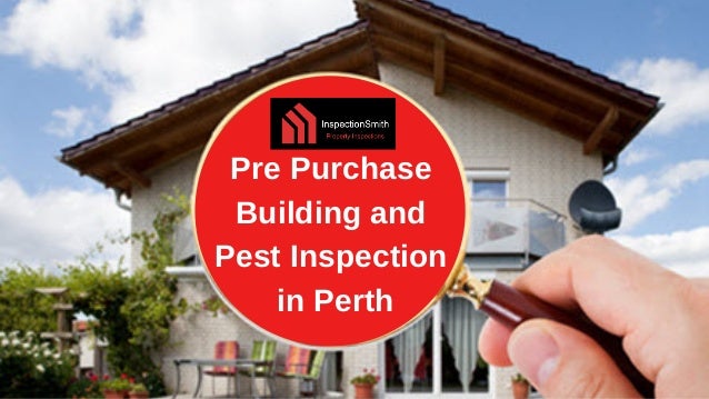 Pre Purchase Building And Pest Inspection In Perth