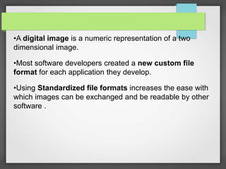 •A digital image is a numeric representation of a two
dimensional image.
•Most software developers created a new custom file
format for each application they develop.
•Using Standardized file formats increases the ease with
which images can be exchanged and be readable by other
software .
 