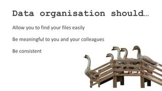 Data organisation should…
Allow you to find your files easily
Be meaningful to you and your colleagues
Be consistent
 