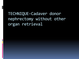 TECHNIQUE-Cadaver donor
nephrectomy without other
organ retrieval
 