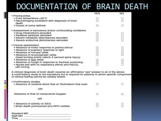 DOCUMENTATION OF BRAIN DEATH
 