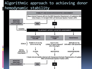 Algorithmic approach to achieving donor
hemodynamic stability
 