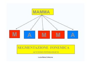 MAMMA
M A MM A
SEGMENTAZIONE FONEMICA
ACCESSO FONOLOGICO
Lucia Maria Collerone
 