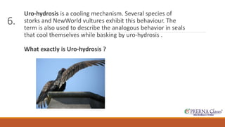 6. 
Uro-hydrosis is a cooling mechanism. Several species of 
storks and NewWorld vultures exhibit this behaviour. The 
term is also used to describe the analogous behavior in seals 
that cool themselves while basking by uro-hydrosis . 
What exactly is Uro-hydrosis ? 
 