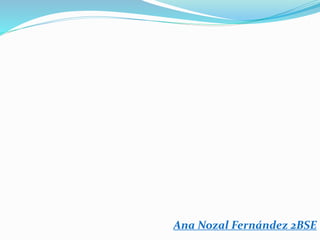 Ana Nozal Fernández 2BSE
 