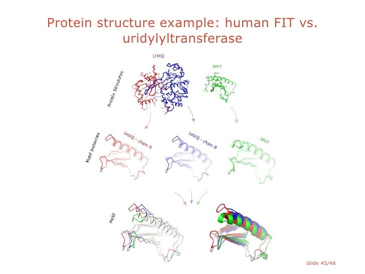 Jensen phd thesis