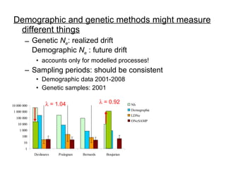 Demographic and genetic methods might measure different things Genetic  N e : realized drift Demographic  N e  : future drift accounts only for modelled processes! Sampling periods: should be consistent Demographic data 2001-2008 Genetic samples: 2001    = 1.04    = 0.92 