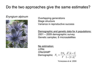 Do the two approaches give the same estimates? Eryngium alpinum Overlapping generations Stage structure Variance in reproductive success Demographic and genetic data for 4 populations: 2001 – 2009 demographic survey Genetic samples; 8 microsatellites Ne estimation: LDNe ONeSAMP Demographic Yonezawa et al. 2000 