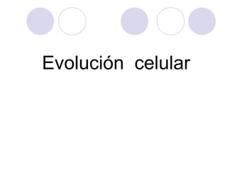 Evolución celular

 