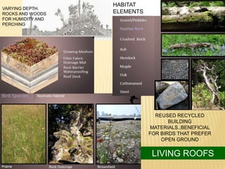 HABITAT
VARYING DEPTH.
ROCKS AND WOODS    ELEMENTS
FOR HUMIDITY AND
PERCHING




                                REUSED RECYCLED
                                     BUILDING
                              MATERIALS..BENEFICIAL
                              FOR BIRDS THAT PREFER
                                  OPEN GROUND


                               LIVING ROOFS
 