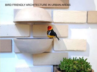 BIRD FRIENDLY ARCHITECTURE IN URBAN AREAS
 