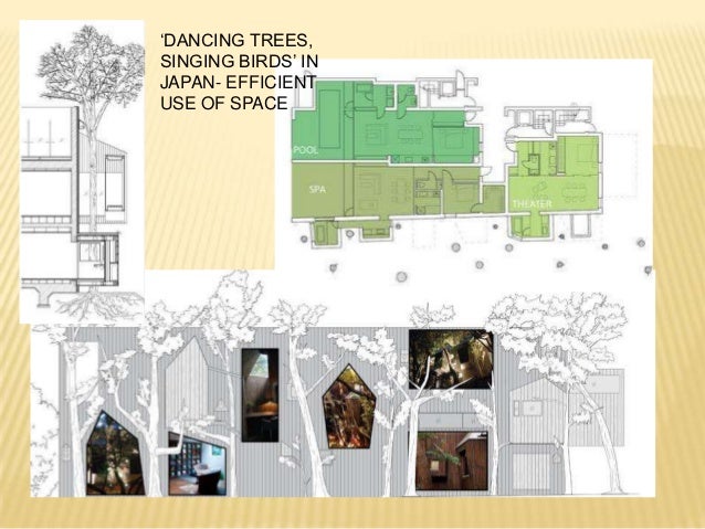 Bird Friendly Architecture