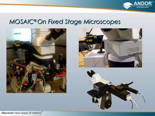 MOSAIC® On Fixed Stage Microscopes
 
