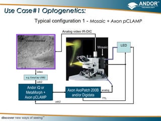 Use Case#1 Optogenetics:
                                 Mosaic + Axon pCLAMP




       Andor iQ or
                     Axon AxoPatch 200B
      MetaMorph +
                       and/or Digidata
      Axon pCLAMP
 