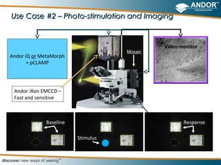 Use Case #2 – Photo-stimulation and Imaging



                                            Video monitor
                                   Mosaic
Andor iQ or MetaMorph
       + pCLAMP




 Andor iXon EMCCD –
 Fast and sensitive



             Baseline                              Response

                        Stimulus
 