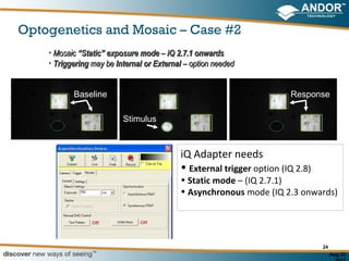 Optogenetics and Mosaic – Case #2
    • Mosaic “Static” exposure mode – iQ 2.7.1 onwards
    • Triggering may be Internal or External – option needed


           Baseline                                                    Response

                          Stimulus



                                           iQ Adapter needs
                                           • External trigger option (IQ 2.8)
                                           • Static mode – (IQ 2.7.1)
                                           • Asynchronous mode (IQ 2.3 onwards)




                                                                                24
                                                                                     Aug 22
 