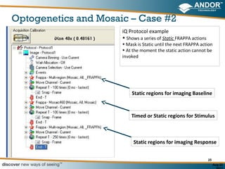 Optogenetics and Mosaic – Case #2
                      iQ Protocol example
                      • Shows a series of Static FRAPPA actions
                      • Mask is Static until the next FRAPPA action
                      • At the moment the static action cannot be
                      invoked




                          Static regions for imaging Baseline



                          Timed or Static regions for Stimulus



                           Static regions for imaging Response


                                                                  25
                                                                       Aug 22
 
