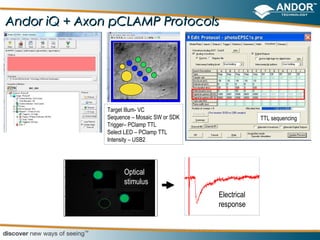 Andor iQ + Axon pCLAMP Protocols




               Target Illum- VC
               Sequence – Mosaic SW or SDK                TTL sequencing
               Trigger– PClamp TTL
               Select LED – PClamp TTL
               Intensity – USB2




                     Optical
                     stimulus
                                             Electrical
                                             response
 