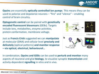 Opsins are essentially optically controlled ion pumps. This means they can be
used to polarize and depolarize neurons – “fire” and “silence” – enabling
control of brain circuitry.
Optogenetic control can be paired with genetically
encoded fluorescent biosensors (GEBs). Targets
include ions, metabolites, enzyme activities,
protein conformation, membrane voltage.
                                                                           © Riken Institute

Just as Francis Crick suggested we can manipulate
at molecular (DNA) and cellular level precisely and
delicately (optical patterns) and monitor response
– via optical, electrical, behavioural…

In combination, Opsins and GEBs can be used to perturb and monitor many
aspects of neuronal and glial biology, to visualize synaptic transmission and
activity-dependent signalling in vitro and in vivo.


                                                                                               5
 
