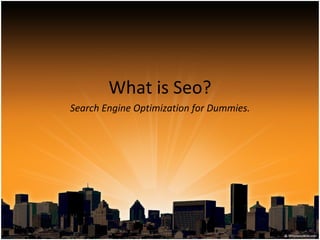What is Seo? Search Engine Optimization for Dummies. 