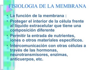 FISIOLOGIA DE LA MEMBRANA
• La función de la membrana :
• Proteger el interior de la célula frente
al líquido extracelular que tiene una
composición diferente
• Permitir la entrada de nutrientes,
iones o otros materiales específicos.
• Intercomunicación con otras células a
través de las hormonas,
neurotransmisores, enzimas,
anticuerpos, etc.

 
