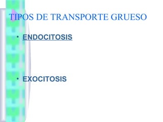 TIPOS DE TRANSPORTE GRUESO
• ENDOCITOSIS

• EXOCITOSIS

 