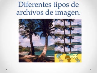 Diferentes tipos de
archivos de imagen.
 