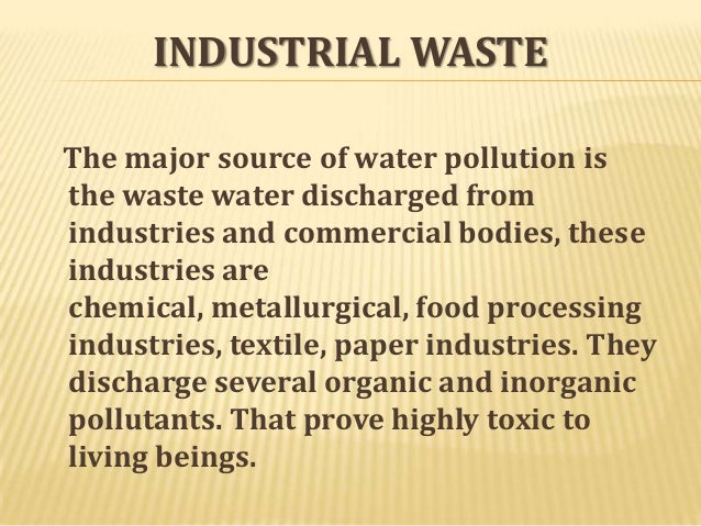 Polluting the environment essay