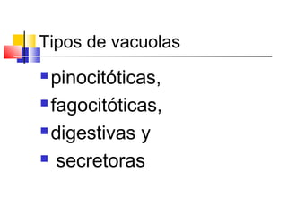 Tipos de vacuolas

pinocitóticas,
 fagocitóticas,
 digestivas y
 secretoras


 