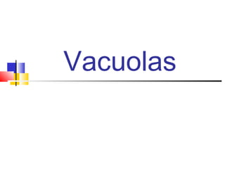 Vacuolas

 