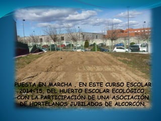 PUESTA EN MARCHA , EN ESTE CURSO ESCOLAR
2014-15, DEL HUERTO ESCOLAR ECOLÓGICO,
CON LA PARTICIPACIÓN DE UNA ASOCIACIÓN
DE HORTELANOS JUBILADOS DE ALCORCÓN.
 