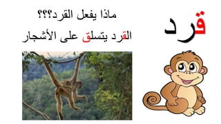 ‫ق‬‫رد‬‫ال‬‫ق‬‫يتسل‬ ‫رد‬‫ق‬‫األشجار‬ ‫على‬
‫يفعل‬ ‫ماذاĬīاʤرد؟؟؟Ĭ
 