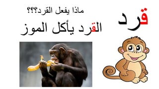 ‫ق‬‫رد‬‫ال‬‫ق‬‫يأكل‬ ‫رد‬‫الموز‬
‫يفعل‬ ‫ماذاĬīاʤرد؟؟؟Ĭ
 