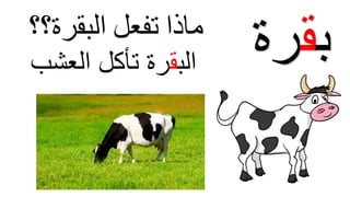 ‫الب‬‫ق‬‫رة‬‫تأكل‬‫العشب‬ ‫ب‬‫ق‬‫رة‬‫ماذا‬‫تفعل‬‫البقرة‬‫؟؟‬
 