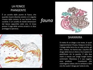 LA FENICE
PIANGENTE
È un uccello dalle piume di fuoco, che
quando muore diventa cenere e in seguito
rinasce dalla cenere; le sue lacrime sono
curative. È un uccello di medie dimensioni
dal becco appuntito color oro. Si trova
presso il Lago delle anime erranti e si dice
protegga la speranza.
Si tratta di un drago a tre teste, le quali
rappresentano il fuoco, l’acqua e la terra.
Il drago della terra ha un solo occhio, gli
altri, invece, ne hanno due. L’occhio del
drago della terra è d’oro e ha il potere di
pietrificare chi lo guarda. È alto due
metri e mezzo con artigli lunghi trenta
centimetri. Maestoso è il suo ruggito,
esso produce incantesimi che
costringono coloro che lo sentono a fare
ciò che vuole il drago per tutta la vita.
SHANNIRA
fauna
 