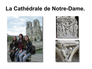 La Cathédrale de Notre-Dame.
 