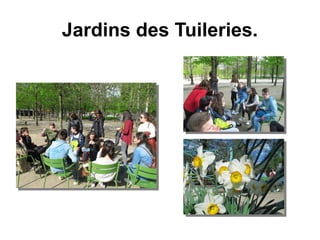 Jardins des Tuileries.
 