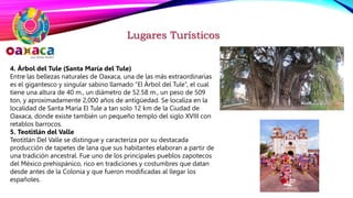 Lugares Turísticos
4. Árbol del Tule (Santa María del Tule)
Entre las bellezas naturales de Oaxaca, una de las más extraordinarias
es el gigantesco y singular sabino llamado “El Árbol del Tule”, el cual
tiene una altura de 40 m., un diámetro de 52.58 m., un peso de 509
ton, y aproximadamente 2,000 años de antigüedad. Se localiza en la
localidad de Santa María El Tule a tan solo 12 km de la Ciudad de
Oaxaca, donde existe también un pequeño templo del siglo XVIII con
retablos barrocos.
5. Teotitlán del Valle
Teotitlán Del Valle se distingue y caracteriza por su destacada
producción de tapetes de lana que sus habitantes elaboran a partir de
una tradición ancestral. Fue uno de los principales pueblos zapotecos
del México prehispánico, rico en tradiciones y costumbres que datan
desde antes de la Colonia y que fueron modificadas al llegar los
españoles.
 